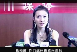 湖南记者爆料娱乐圈视频,揭秘幕后真相