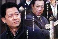 国家干部电视剧,权谋与担当的岁月传奇