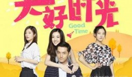 电视剧大好时光,都市爱情与成长的交响曲