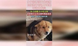 狗子的最新爆料视频下载,幕后真相大起底！