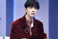 肖战热巴综艺爆料视频,精彩瞬间与幕后花絮大曝光