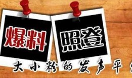 海南当地新闻爆料平台电话,揭秘本地热点事件背后的真相
