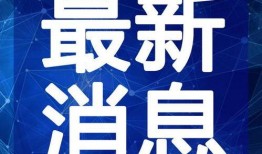 权哥商业爆料视频大全最新,揭秘最新商业动态与行业趋势