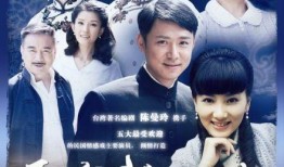 再爱我一次电视剧,爱恨交织的情感纠葛，命运轮回的感人故事