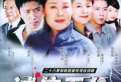 诚信无价 电视剧,揭秘人性光辉的电视剧传奇