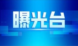 济宁今日爆料新闻,聚焦城市热点事件追踪