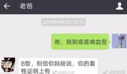 搞笑爆料新闻视频素材,笑到肚子疼！