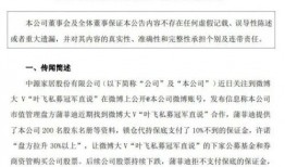 全冠积木爆料最新消息,颠覆传统积木体验，创新之作即将亮相