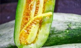 威海吃瓜网红有哪些人,揭秘威海知名吃瓜达人的多彩人生