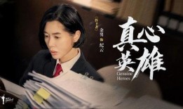 真心英雄电视剧,致敬平凡中的伟大身影