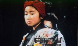 电视剧阿信,风雨人生路，奋斗铸辉煌