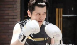 艺兴最新爆料事件视频大全,视频大全回顾与深度解析