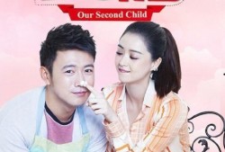 电视剧 二胎,家庭新篇章的温馨演绎