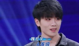 罗嘉最新爆料的视频是真的吗,事实真相即将揭晓