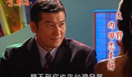 意难忘电视剧,爱恨交织的岁月传奇