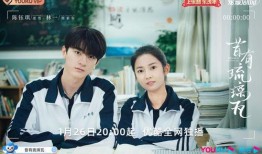 青梅竹马的电视剧,从校园到婚纱的甜蜜旅程