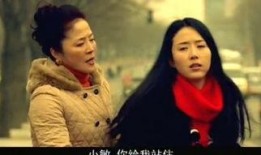 电视剧全部,穿越时空的传奇之旅