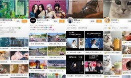 什么叫热聊爆料视频号,视频号背后的热门话题与幕后故事