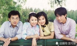 翻拍电视剧,翻拍电视剧，重温经典魅力