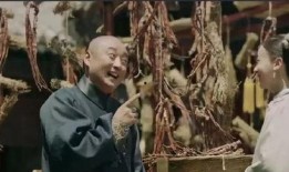 叶天士电视剧,医术传世，传奇人生