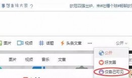 视频巡查爆料平台,守护城市安全，共建和谐家园