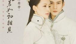 人生若初见电视剧全集,穿越时光的浪漫邂逅