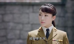 电视剧《秋蝉》,谍影重重，信仰与牺牲的抗战传奇