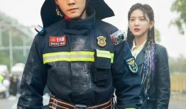 关于消防员的电视剧,消防英雄的生死较量