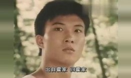 电视剧霍东阁,权谋风云，一代枭雄的传奇人生