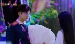 再度降临流星雨电视剧,青春校园的浪漫逆袭