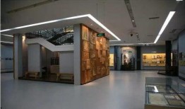 鲁迅博物馆爆料视频,珍贵视频曝光，带你走进鲁迅的文学世界