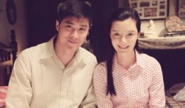 电视剧满仓进城演员表,实力派明星齐聚一堂，演绎农村奋斗传奇