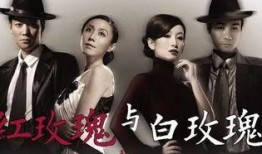 红玫瑰电视剧,爱恨交织的乱世情仇