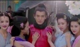 太子妃升职记 在线观看,宫廷权谋与爱情纠葛的华丽演绎