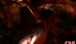 金梅瓶电视剧,传奇瓶中藏，爱恨情仇演绎千年传奇