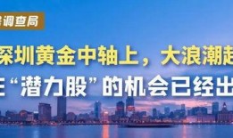 深圳大浪最新爆料,揭秘发展新蓝图与未来亮点