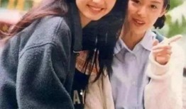 洪欣电视剧有哪些,演绎人生百态，诠释情感真谛